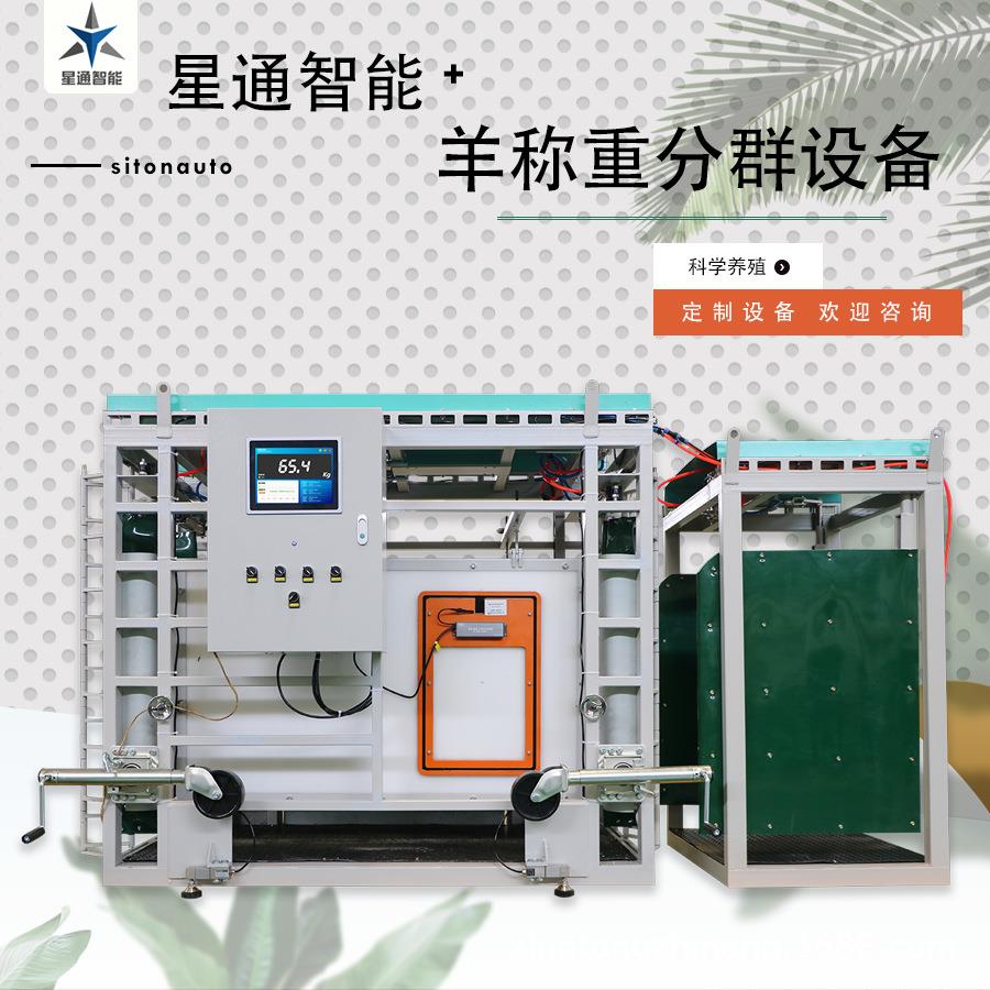 肉牛养殖管理设备智能称重分群提高养殖效益促进畜牧健康生长