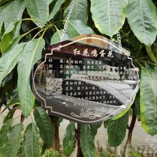 不锈钢树牌园林花草木介绍标牌金属标腐蚀植物绿化悬挂广告牌定制