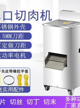 商用可-不锈钢立式铜芯切片机机电家用切丝机单切切肉机电机动
