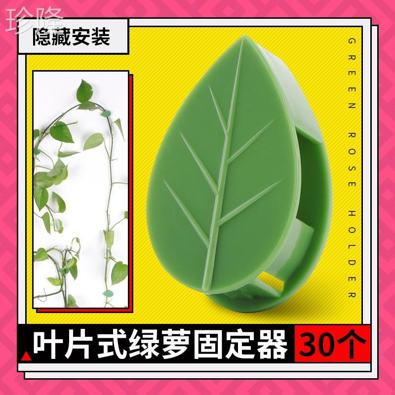 绿萝爬墙神器绿箩固定爬上固定夹攀爬挂钩绿罗扣环无痕绿植固定器