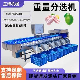 自动称重分拣机 海蛎子小龙虾重量分选机 果蔬等级分选机流水线