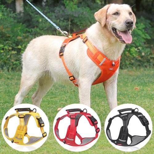 狗狗牵引绳防爆冲胸背带反光大型犬金毛拉布拉多狗链子大狗遛狗绳