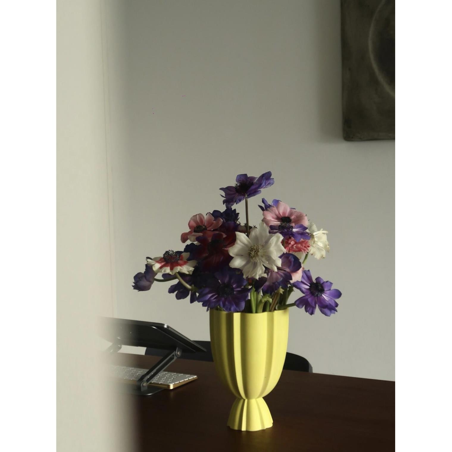 宅物 高级感小轻奢大口径杨桃花瓶