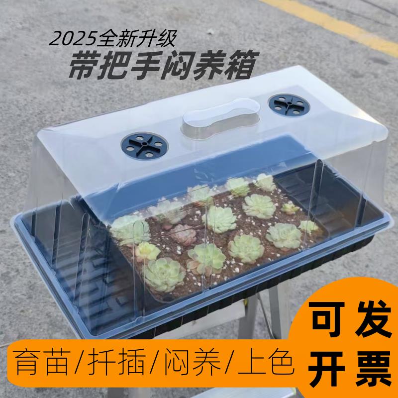 加高育苗盒植物扦插出芽带盖子多肉闷养保温保湿播种盘育苗托盘箱