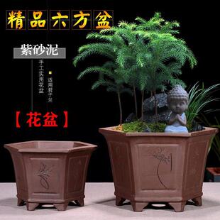 紫砂六方盆景盆兰花盆榕树老桩盆君子兰陶瓷盆客厅阳台家用盆包邮
