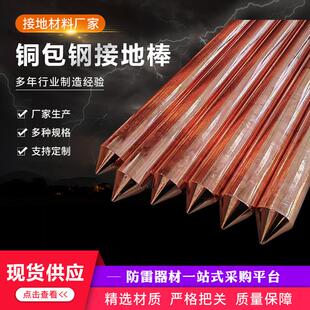 铜包钢接地棒防雷镀铜接地棒家用接地线接地装置接地针尖头镀铜圆