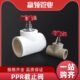PPR自来水管截止阀门开关4分6分2寸加厚新料热熔闸阀灰色升降阀
