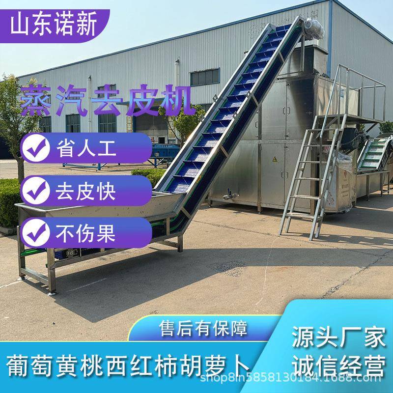 诺新机械全自动葡萄蒸汽去皮机果蔬土豆红薯黄桃去皮处理设备