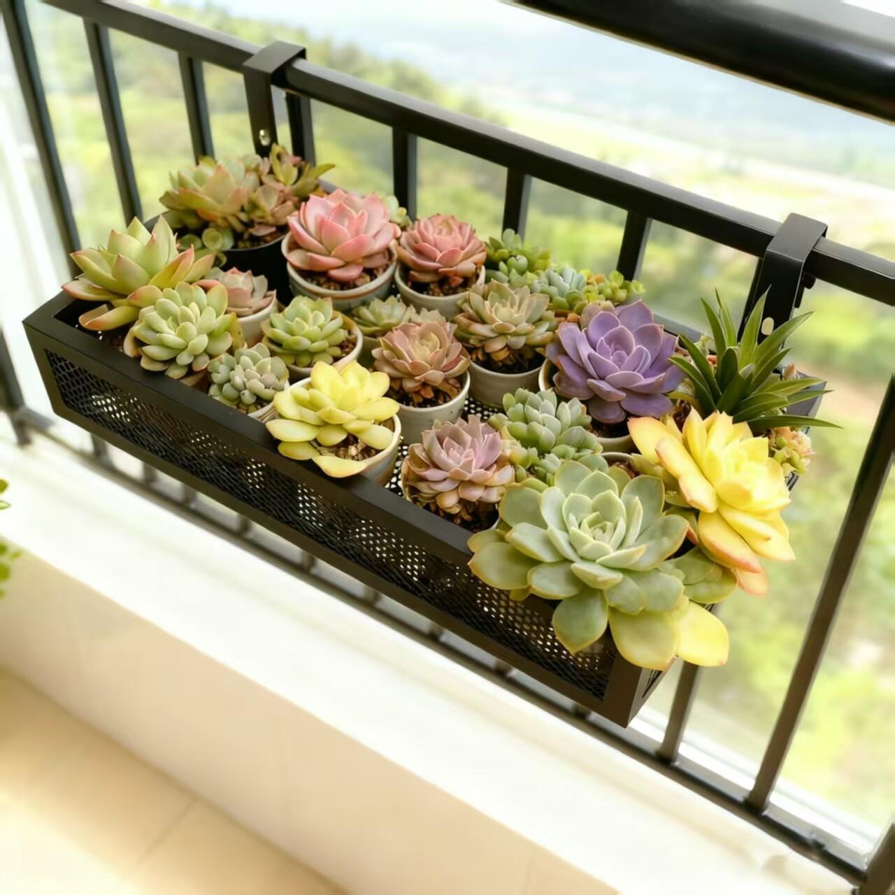 知萌花架置物架阳台花盆架悬挂护栏铁艺架子多肉挂架窗台栏杆花架