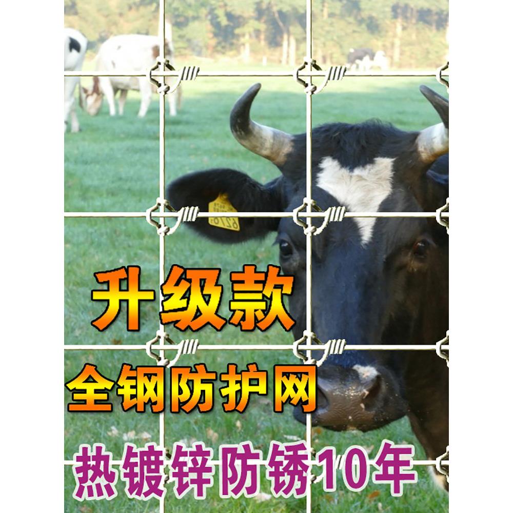 热镀锌防锈养殖网钢丝网围栏羊牛钢丝网牛围栏网护栏网室外防护网