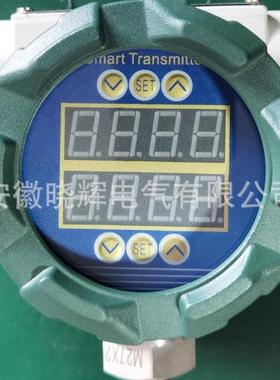 就地温度显示仪XH-LCD-06058数显温度计