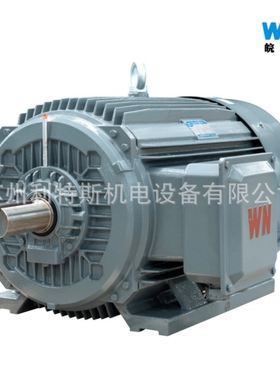 现货直销安徽皖南电机WNM YE3-80M2-4高效率电机4级转速 0.75KWB3