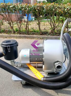 高配双叶轮抽真空压缩打包机 家纺密封毛绒皮革棉被沙发垫包装机