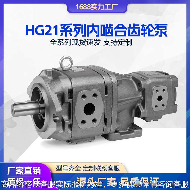 海特克HG21-80-50-01R-VPC 内啮合齿轮泵 高压油泵注塑机伺服泵