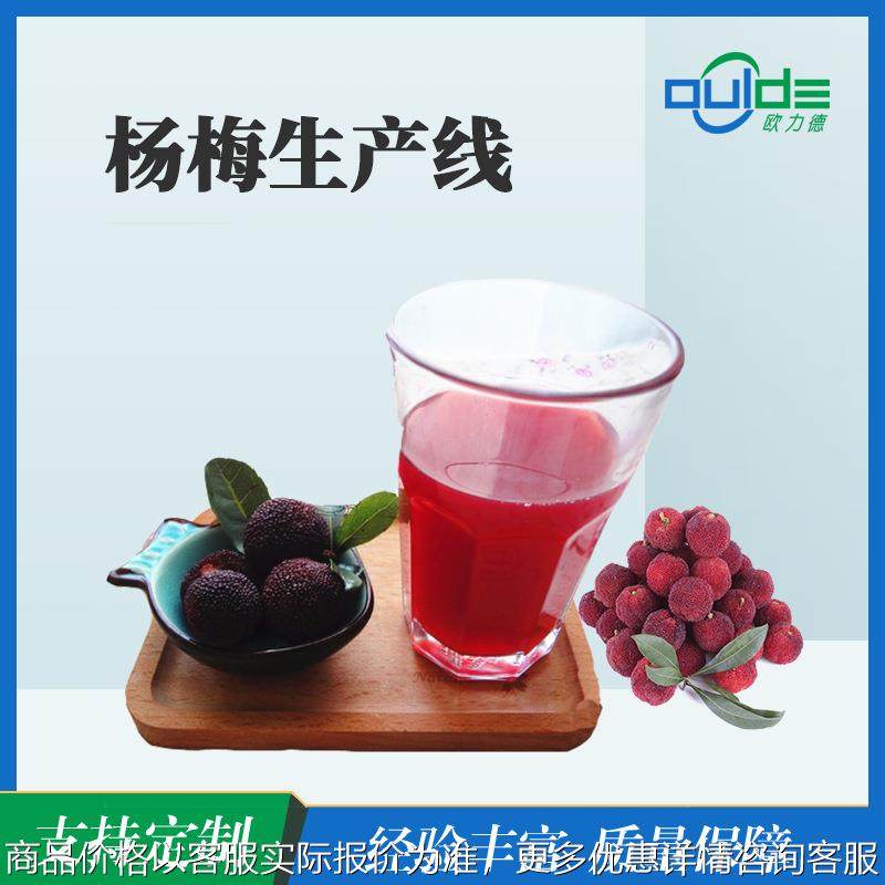 全自动生产线 大小型果汁果酱饮料橙汁生产线 杨梅生产线 榨汁,厨房/烹饪用具,淘宝优惠券,粉丝福利购,淘宝优惠卷