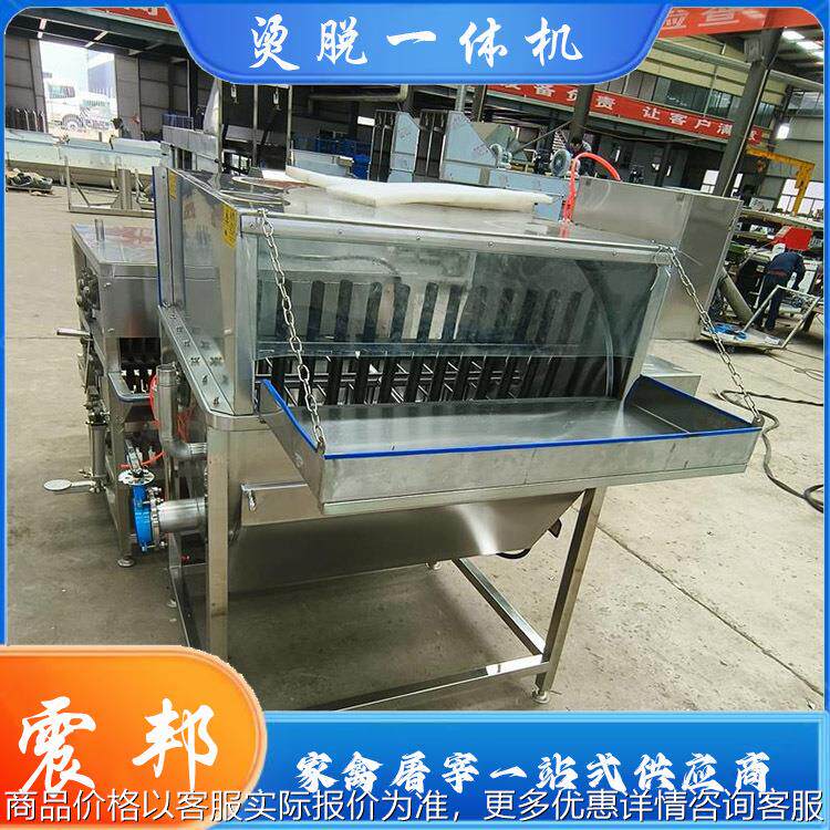 全自动家禽屠宰流水线设备加工 不锈钢鸡电动脱毛机 机械供应