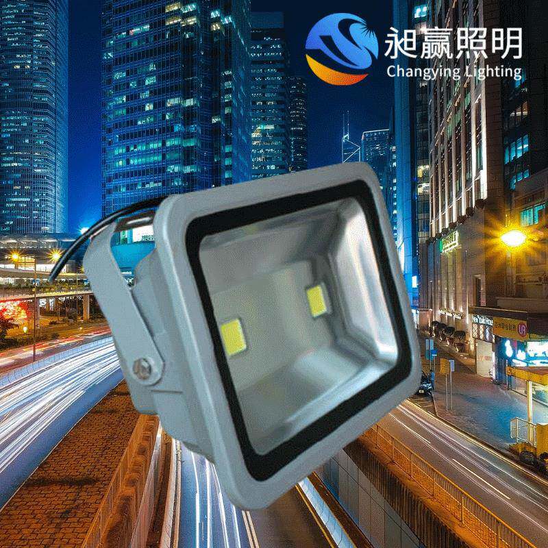 投光灯渔船灯矿山隧道照明工厂房泛光灯100W户外灯防水低压36V
