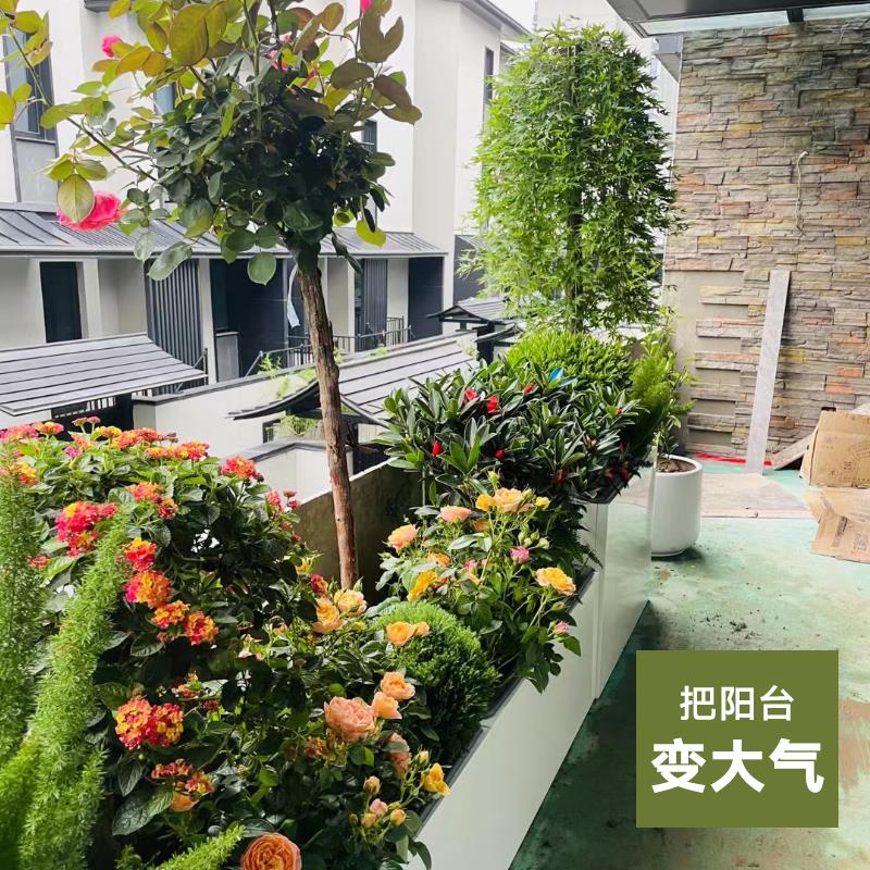 阳台种植花箱室内种植花槽楼顶铁艺花器庭院鲜花绿植长条花盆高款