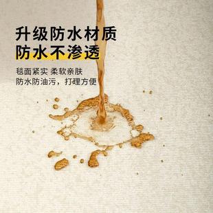 床边免洗可擦免打理轻奢高级感家用房间地垫 地毯客厅卧室2024新款