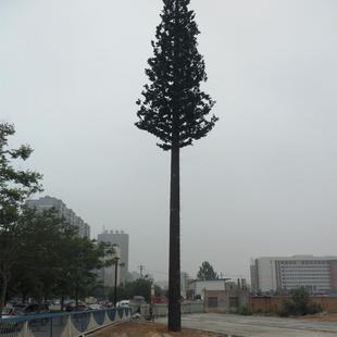 直销各种高度仿生树塔仿生通讯塔棕榈树塔松树伪装信号塔