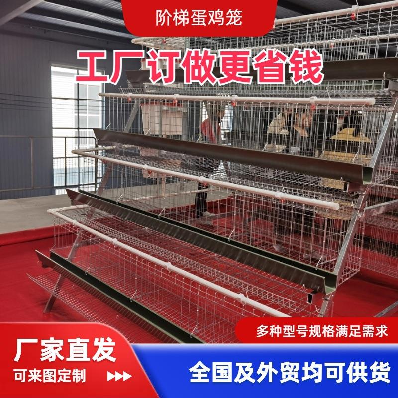 四层5门蛋鸡笼养殖厂工厂阶梯型鸡笼鸡窝热镀锌材质可供外贸