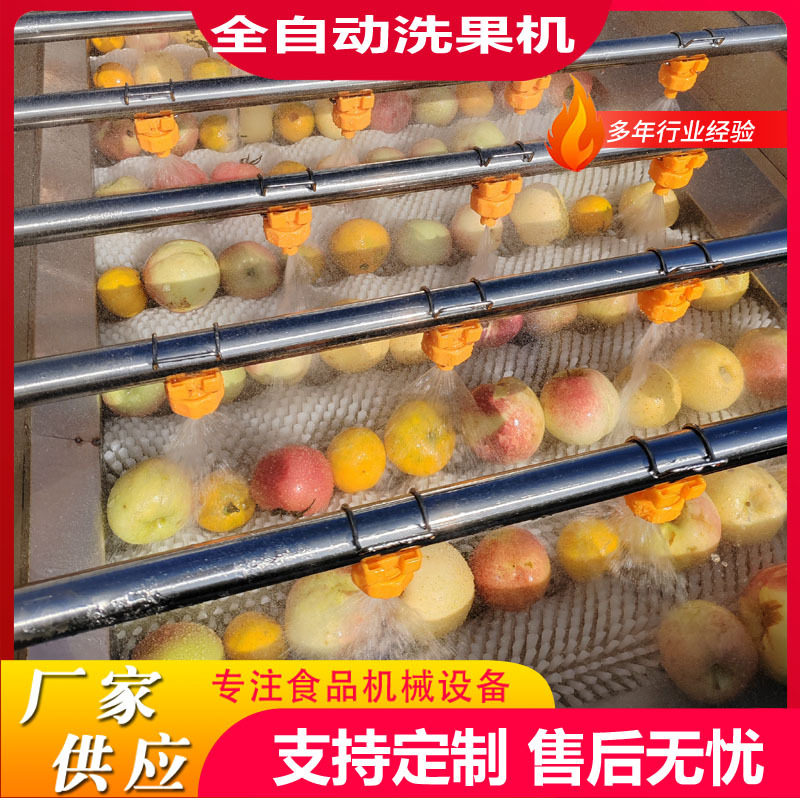 商用桃子毛刷清洗机青梅毛辊清洗机全自动洗果机果蔬清洗风干一体