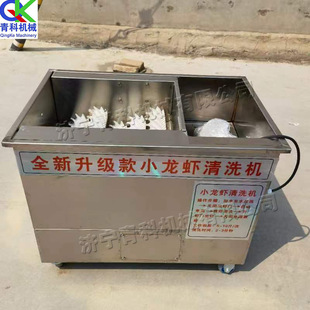 工业全自动龙虾清洗设备毛刷龙虾清理机不锈钢智能小龙虾洗虾机