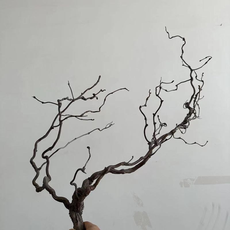 龙枣枝天然枯藤藤条软t装装饰藤造型造景插花藤蔓树枝茶艺