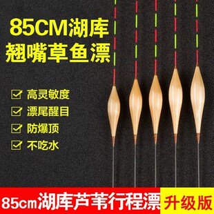 超长芦苇浮漂80 85cm行x程流氓漂高灵敏草鱼翘嘴漂黑坑湖泊水库