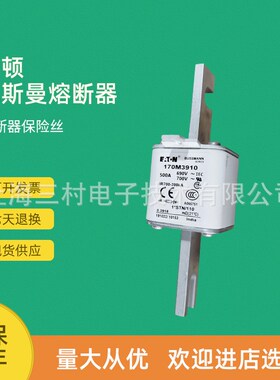 全新原装快速熔断器保险丝170M3965 170M3966 170M3967 170M3968