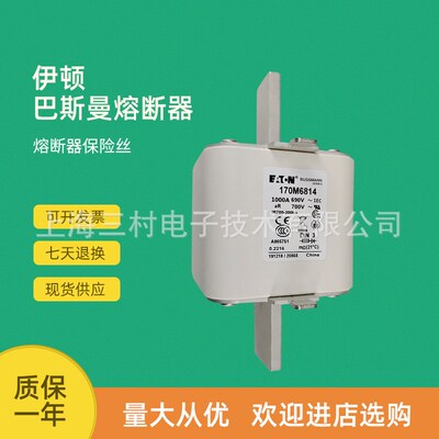 全新原装快速熔断器保险丝170M6878 170M6879 170M6880 170M6881