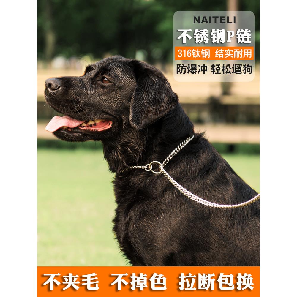钛钢一体化P炼防爆训练犬P炼不锈钢拉布拉多中大型犬金毛猎犬牵引