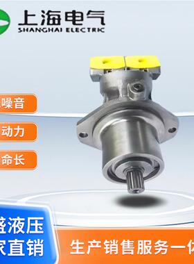上海电气插装式柱塞泵A6VE28/55/80/107/160/250EP2D/63W变量马达