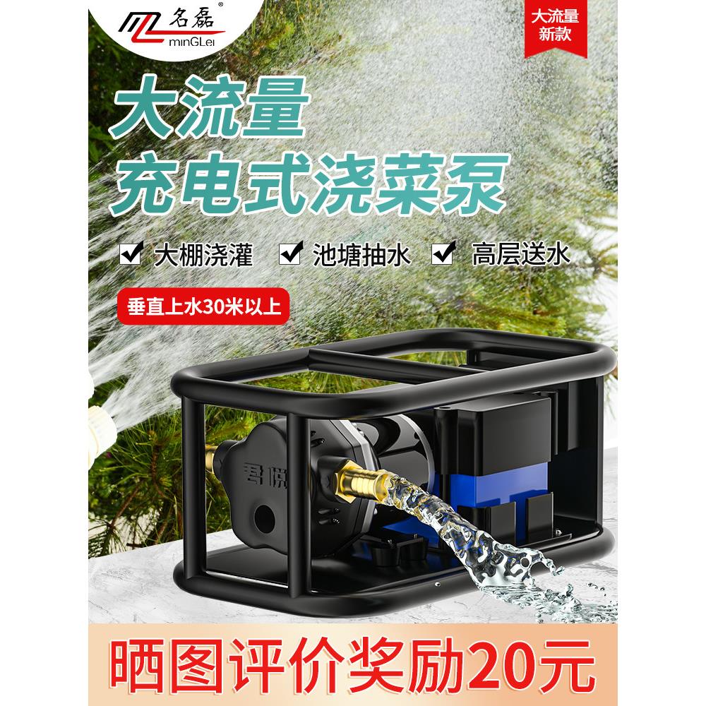 可充电便携式浇灌蔬菜水泵大流量直流电动浇灌蔬菜水泵洗车多功能