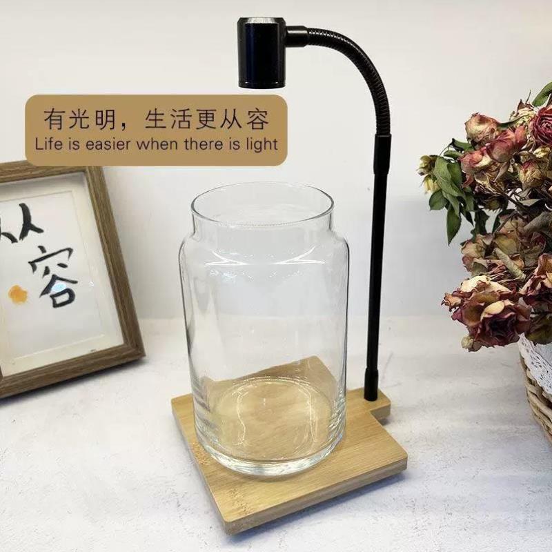 LED全光谱微景观灯生态瓶灯植物生长灯补光灯苔藓灯造景灯竹板灯