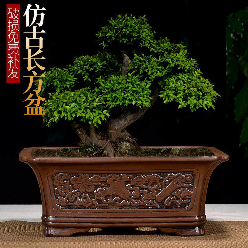 中国风透气紫砂花盆长方形特大口径多肉清仓绿植物陶瓷假山盆景盆