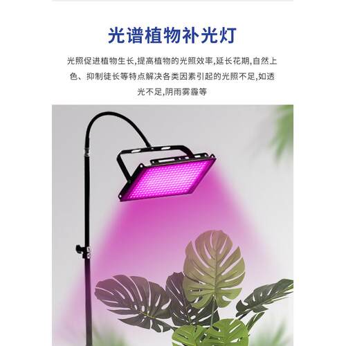 落地式全光谱粉红色紫红色投射灯LED植物生长灯补光灯100w红光