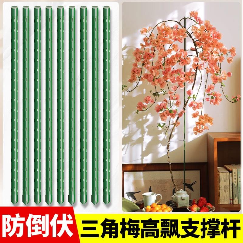 三角梅高飘支伸缩杆月季爬藤架子花架固定器绿植物防倒伏花卉支撑
