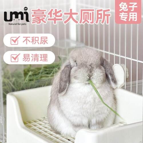 兔兔专用宠物兔子厕所大号屎盆兔子防掀翻托盘式豚鼠便盆用品大码