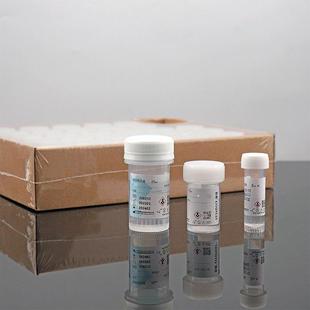 包邮世泰3 15 25ml10%中性福尔马林瓶装组织标本固定液病理保存液