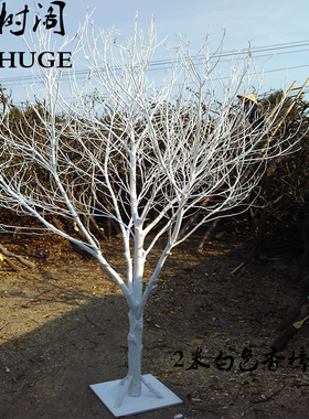 白色干树枝造景干枝树干r许愿树枯树室内造型树枝干原木树枝装饰