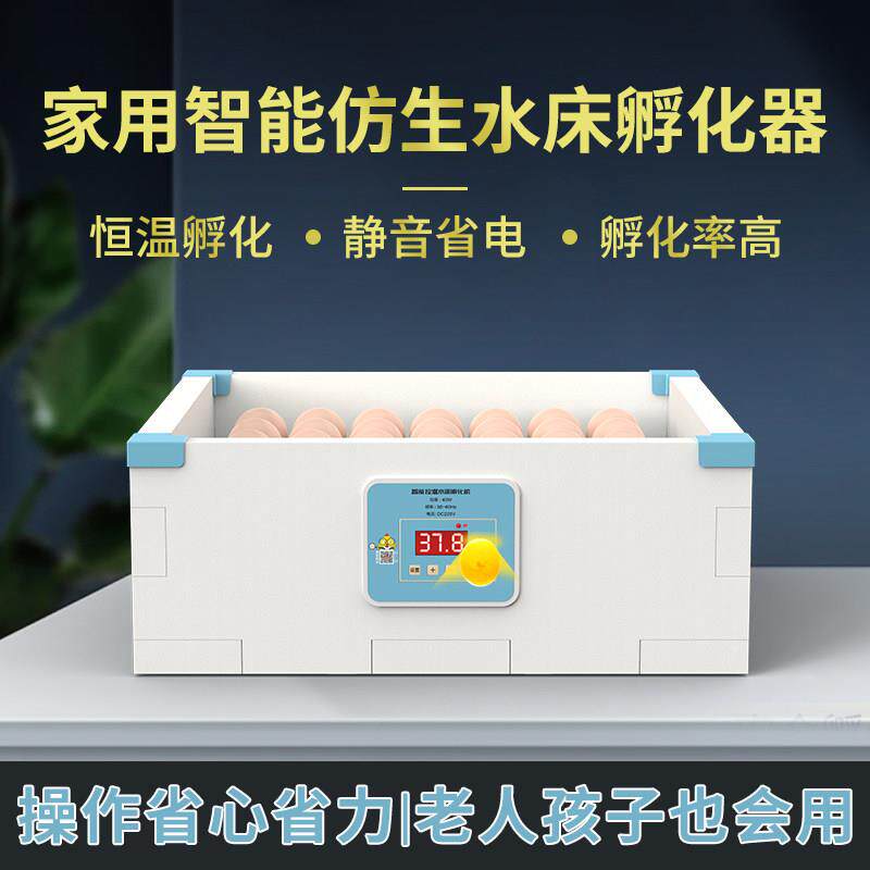 水床孵化器小型家用迷你孵化机全自动智能恒温孵蛋器芦丁鸡孵化箱