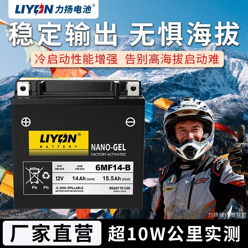 赛科龙RA2/RT2 3/RZ3SRG3RE3/RC401/RX3S/401/500/600摩托车电瓶