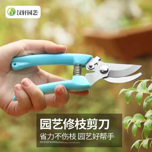 新款园林园艺h剪刀树枝粗枝摘果剪B果树家用多功能修枝剪花艺剪工