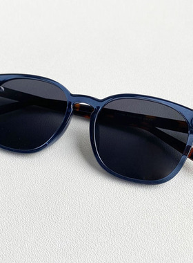 韩版椭圆方形框偏光太阳眼镜y开车遮光墨镜男复古铆钉女潮蓝色绿