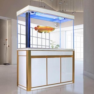 创意超白生态鱼缸水族箱s玻璃中型长方形大型客厅家用免换水底滤
