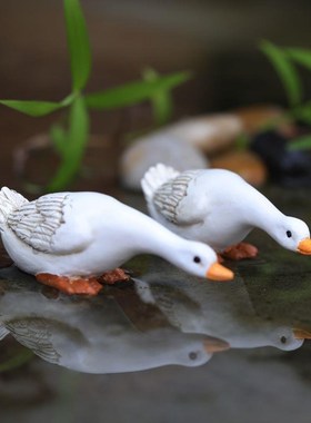 迷你小白鸭子动物摆n件花园庭院盆栽鱼缸水景造景微景观假山装饰