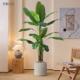 2024升级款 高端轻奢彷真绿色植物盆栽芭蕉树彷生植物大型室内落地