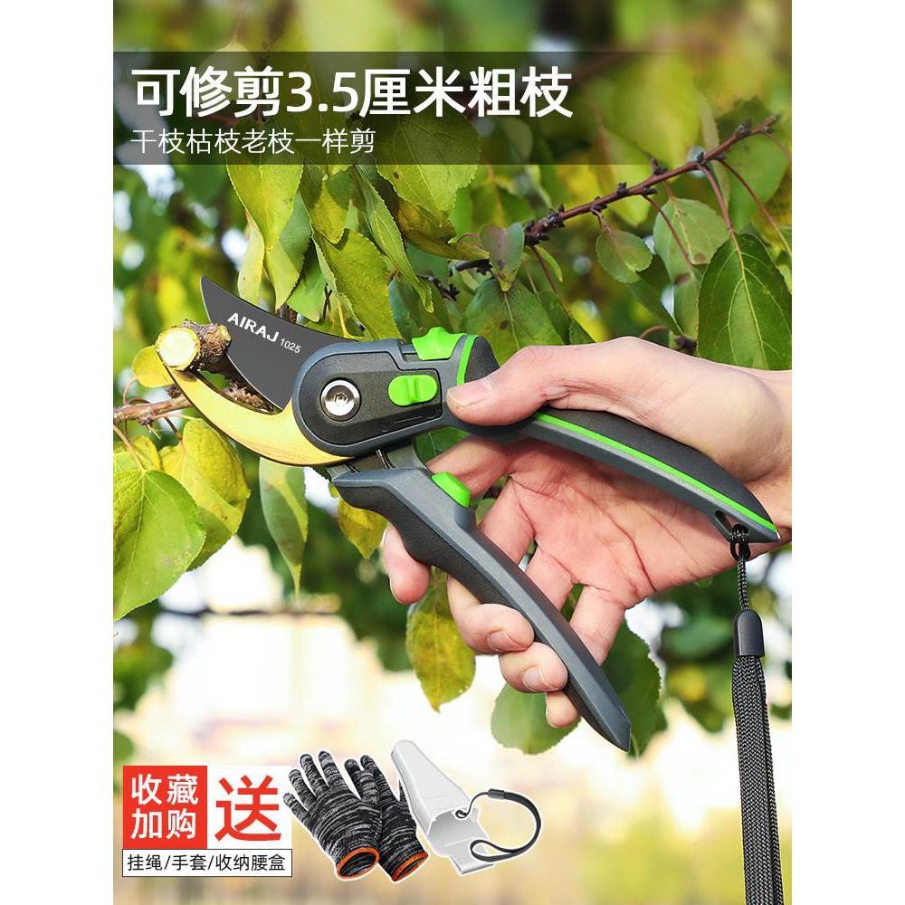 剪枝剪刀园艺剪树枝果树果枝修枝剪花剪园林花艺强力省力粗枝剪子
