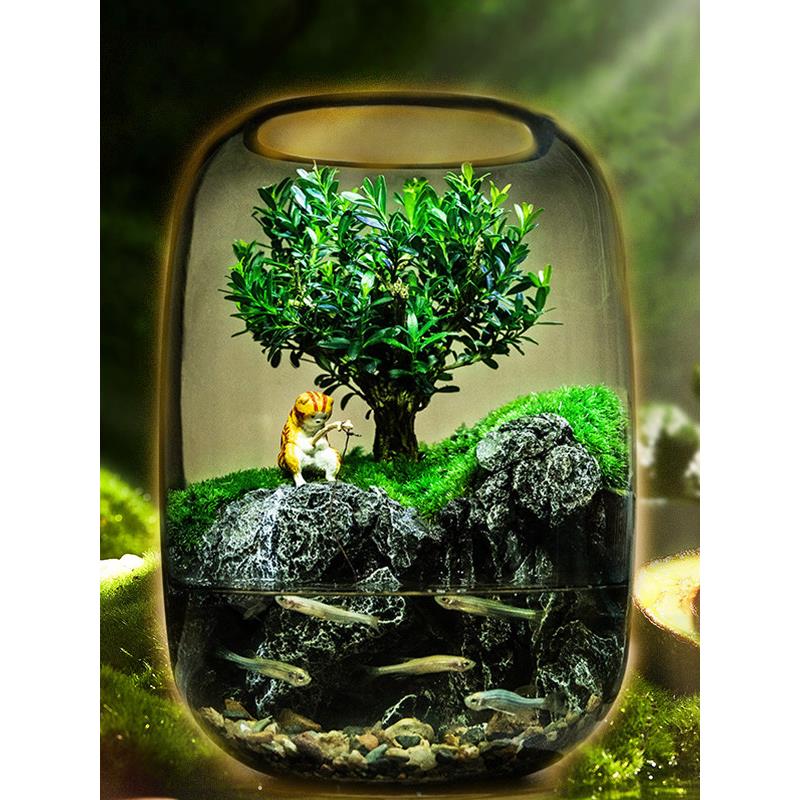 网红爆款[小猫钓鱼]苔藓微景观玻璃瓶创意盆栽生态缸鱼缸桌面摆件